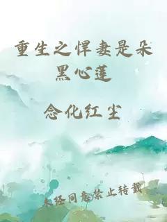 重生之悍妻是朵黑心莲