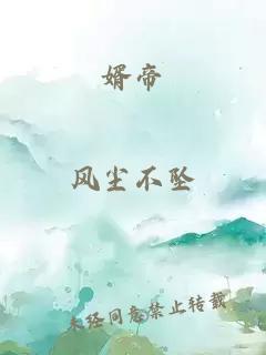 婿帝